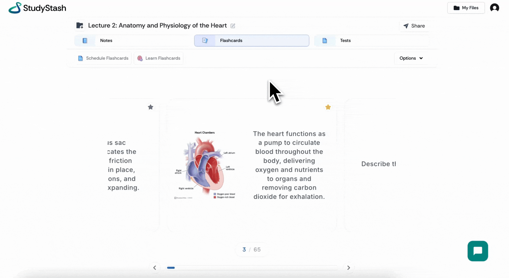 Student applying the content via tests